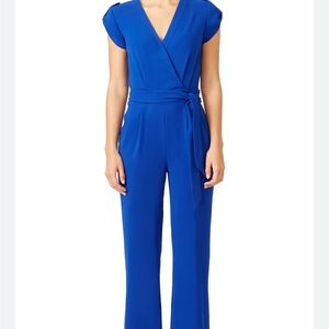 Selling NWT Diane Von Furstenberg jumpsuit